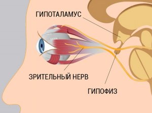 Как восстановить и улучшить зрение